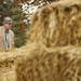 Judge Timothy Connors inspects Jenny's Market straw maze west of Dexter on Friday. Webster Township officials and lawyers would like to shut down the maze claiming it is a public nuisance and a safety hazard. Daniel Brenner I AnnArbor.com